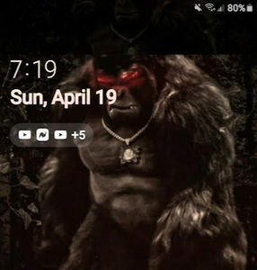 Meet your Posher, Dakota